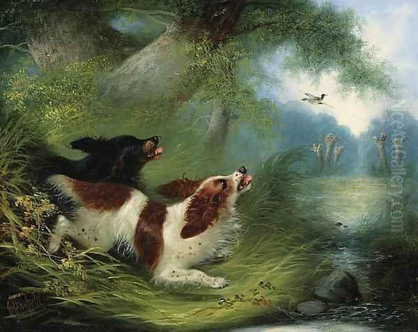 Spaniels putting up a Duck - view 1