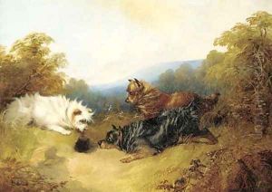 Terriers rabbiting by George Armfield