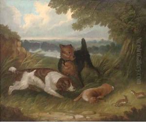 A terrier and spaniel with a hare