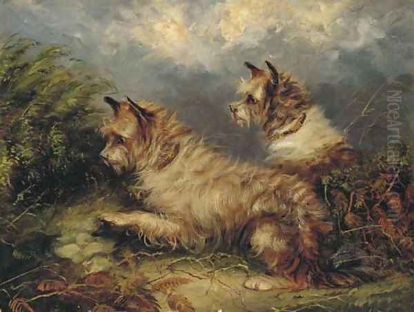 Terriers at a rabbit hole - view 1