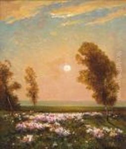 Naplemente by Arthur Tolgyossy