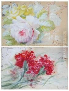 Flores Flores