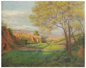 Paisaje Paisaje