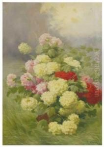 Flores Flores