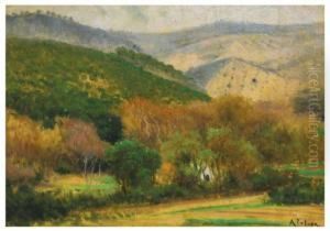 Paisaje