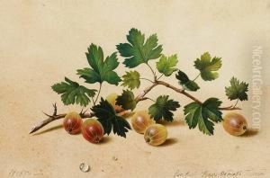 Branche De Groseilles A Maquereau by Feodor Petrovitch Tolstoi