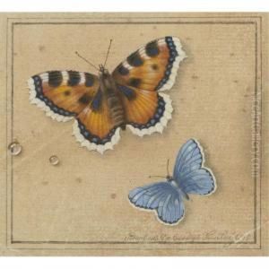 Butterflies by Feodor Petrovitch Tolstoi