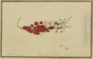 Tolstoi Red And White Currants by Fedor Petrovich Tolstoy