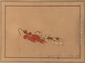 Red And White Currants by Fedor Petrovich Tolstoy