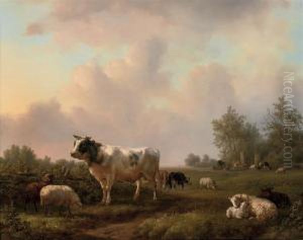 Cattle Grazing In The Pasture - view 1