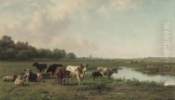 Watering Cattle In A Panoramic Summer Landscape - view 1
