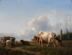 Koeien En Schapen In Een Weide by Jan Bedijs Tom