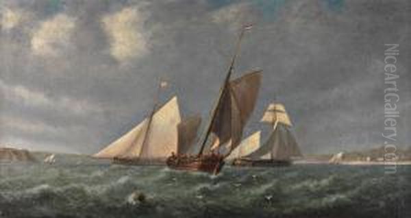 Barcos No Rio Tejo - view 1
