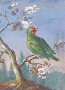 A Red Fronted Parakeet by Christoph Ludwig Agricola
