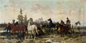 Pferde Auf Der Weide