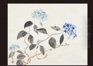 Hydrangea