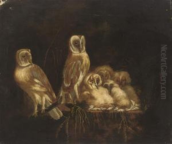 A Parliament Of Owls In A Nest - view 1