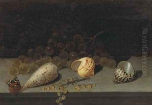 Shells, a brunch of white grapes, white currants and a butterfly on a ledge