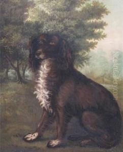 Irish Water Spaniel In A Landscape Irish Water Spaniel In A Landscape