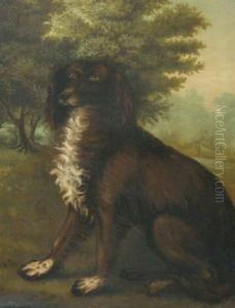 Irish Water Spaniel In A Landscape - view 1