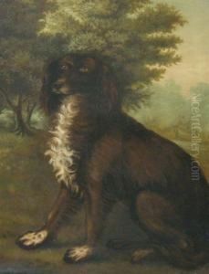 Irish Water Spaniel In A Landscape by Clifton Tomson