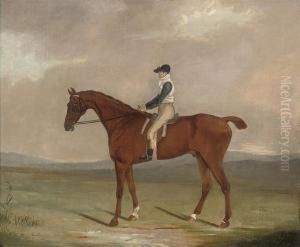 Racehorse Frillo Da Pieta With Jockey Up