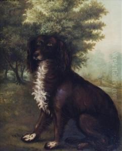 Portrait Of Anirish Water Spaniel Seated Within A Landscape Portrait Of Anirish Water Spaniel Seated Within A Landscape