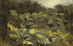 Amongst The Foliage by Robert Tonge