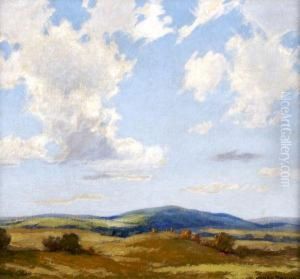 Rolling Landscape