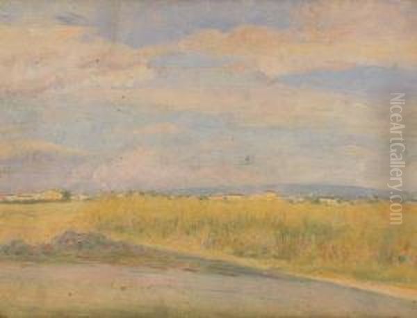 Paesaggio Romagnolo - view 1