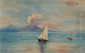 Veduta Del Vesuvio Dal Mare Conimbarcazioni