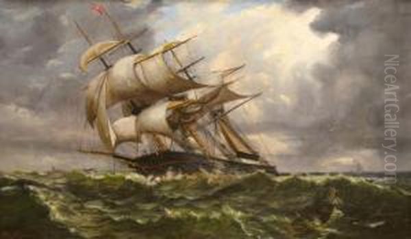 Clipper In Distress - view 1