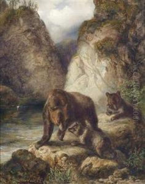 A Family Of Bears At A Rocky Creek Bank - view 1