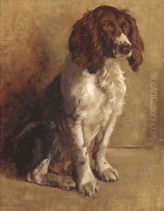 Spaniels by a river Spaniels by a river