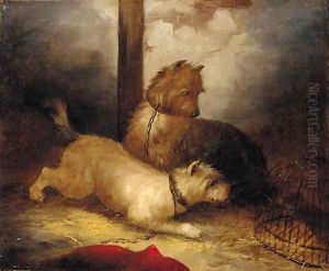 Terriers ratting by Edwin Armfield