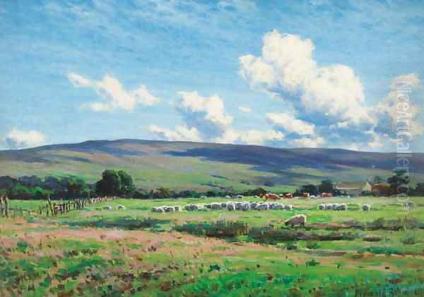 Sheep grazing, Lune Valley, Hornby - view 1