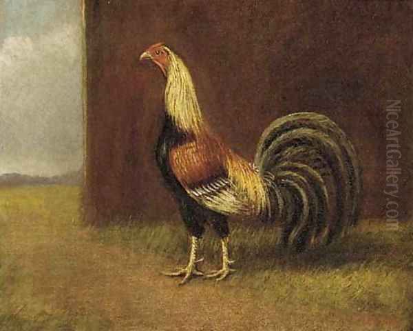 A game cock - view 1