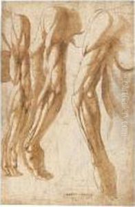 Recto: by Bartolomeo Torri