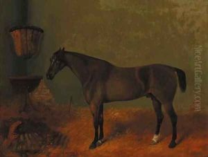 A liver chestnut hunter in a loosebox by Richard Ansdell