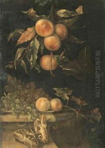 A still life with peaches and butterflies on a ledge by Willem Van Aelst