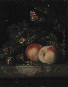 Grapes, peaches and walnuts, with a snail and a butterfly in foliage on a marble ledge by Willem Van Aelst
