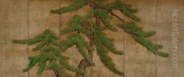 An Old Pine - view 1