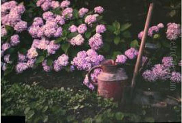 Coin De Jardin Aux Hortensias - view 1
