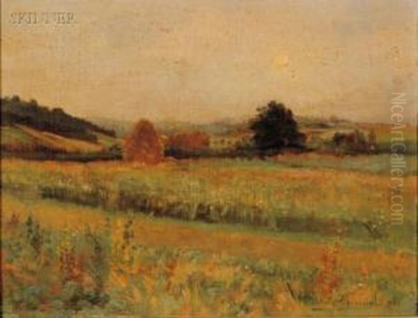 Quiet Meadow - view 1