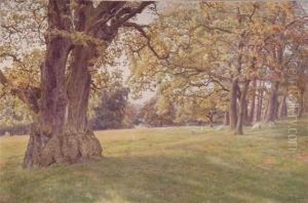 A Sunny Afternoon, October - view 1