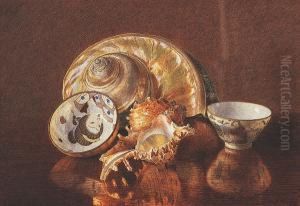 Still Life Of Sea Shells And Tea Bowls On A Table, Signed, Watercolour