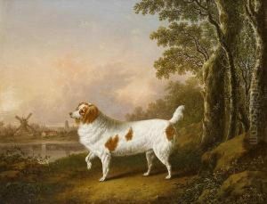 A Liver And White Spaniel In A Landscape