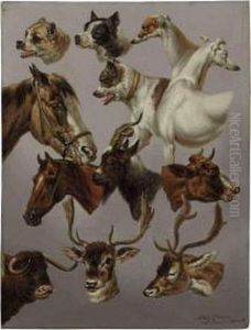 Animal Studies by Charles Towne