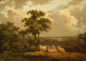 Sheepresting In A Landscape