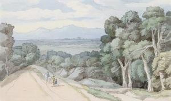 On The Road Over The Moor To Tavistock - view 1